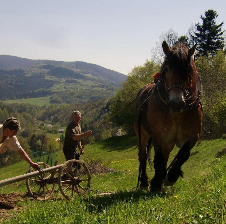 Agroturystyka Millerowka Kamionka Mala  Dış mekan fotoğraf