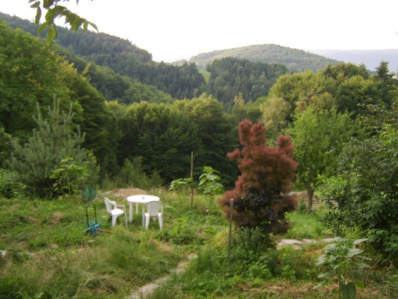 Agroturystyka Millerowka Kamionka Mala  Dış mekan fotoğraf